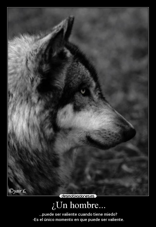 ¿Un hombre... - ...puede ser valiente cuando tiene miedo?
-Es el único momento en que puede ser valiente.