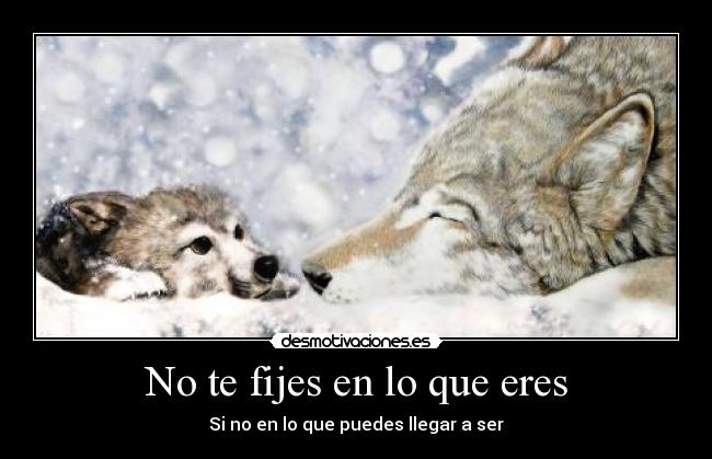 No te fijes en lo que eres -