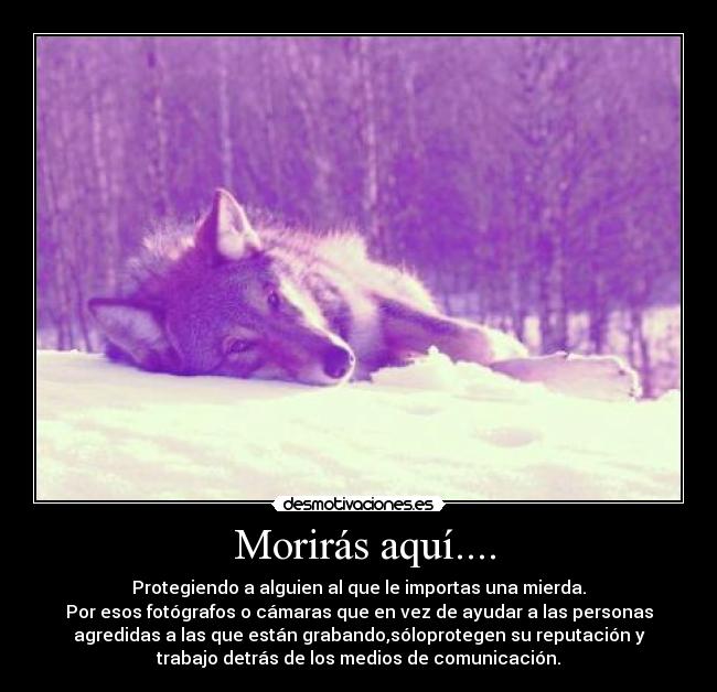 Morirás aquí.... - Protegiendo a alguien al que le importas una mierda.
Por esos fotógrafos o cámaras que en vez de ayudar a las personas
agredidas a las que están grabando,sóloprotegen su reputación y
trabajo detrás de los medios de comunicación.