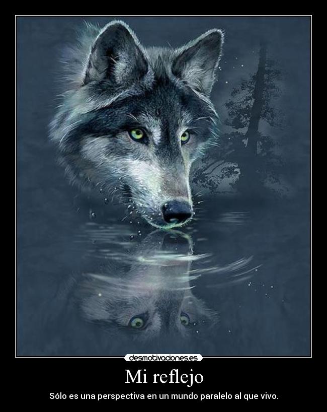 Mi reflejo - Sólo es una perspectiva en un mundo paralelo al que vivo.