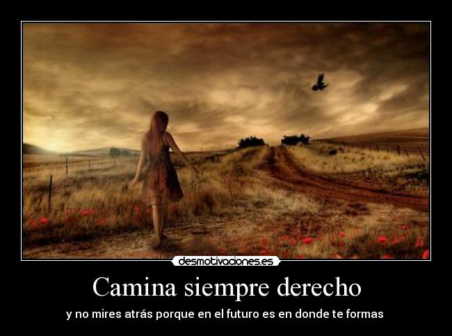 Camina siempre derecho - 
