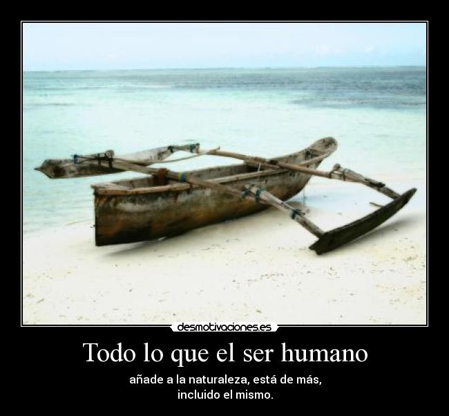 Todo lo que el ser humano -