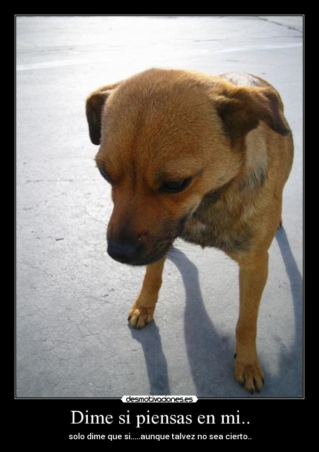 Dime si piensas en mi.. - solo dime que si.....aunque talvez no sea cierto..