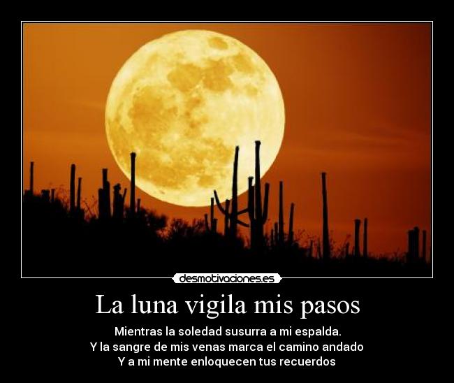 La luna vigila mis pasos - Mientras la soledad susurra a mi espalda.
Y la sangre de mis venas marca el camino andado
Y a mi mente enloquecen tus recuerdos