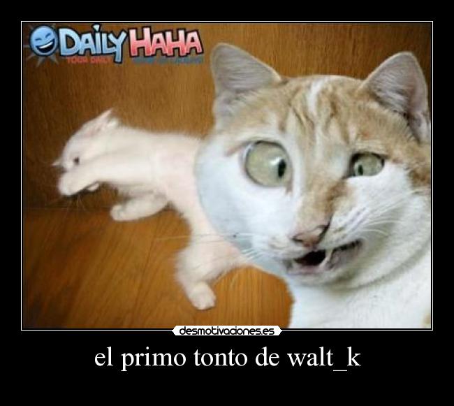 el primo tonto de walt_k -