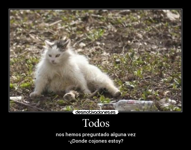 Todos - nos hemos preguntado alguna vez
-¿Donde cojones estoy?