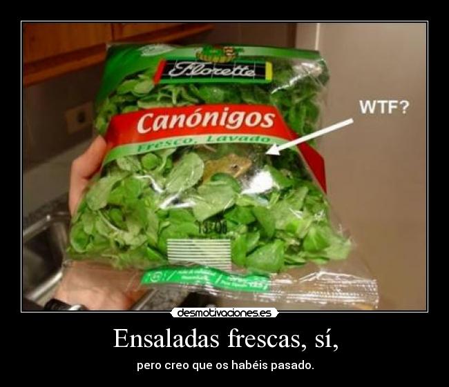 Ensaladas frescas, sí, - pero creo que os habéis pasado.