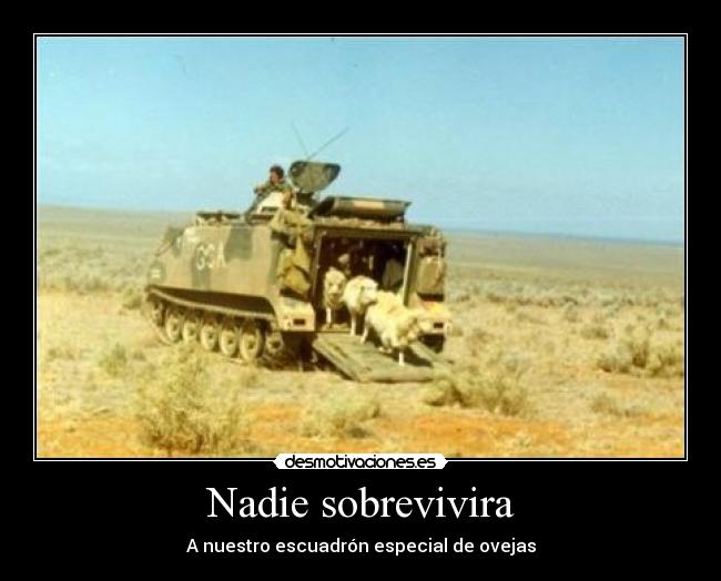 Nadie sobrevivira - 