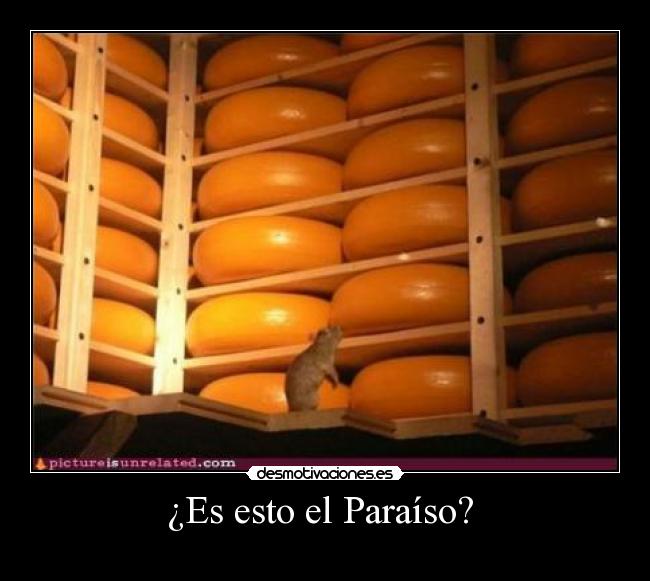 ¿Es esto el Paraíso? -