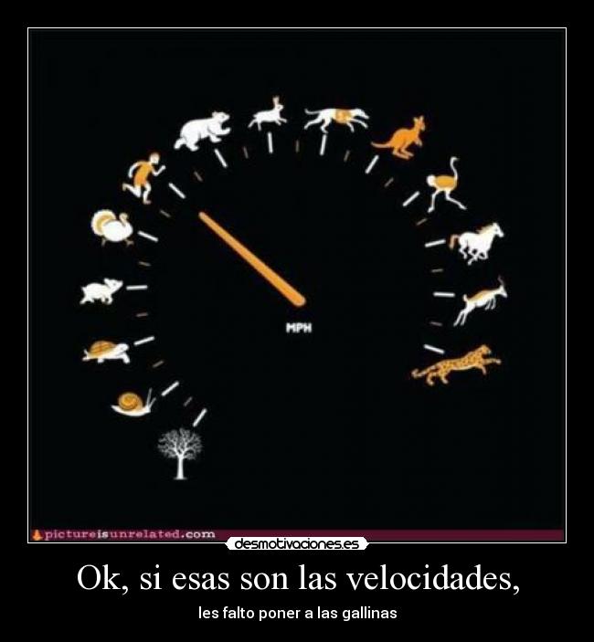 Ok, si esas son las velocidades, - les falto poner a las gallinas