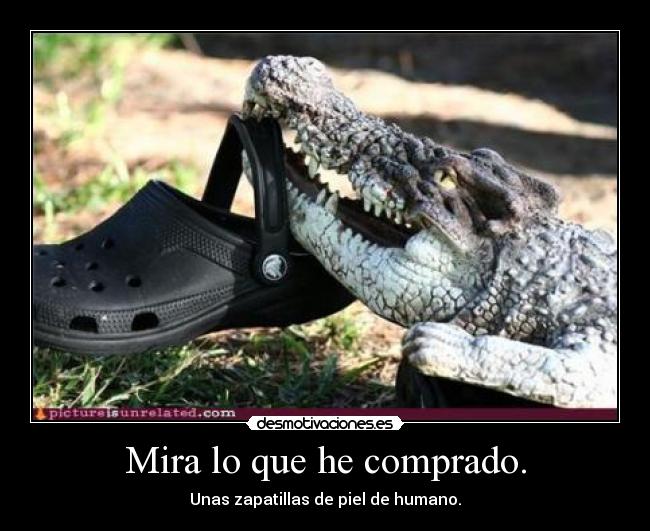 Mira lo que he comprado. - 