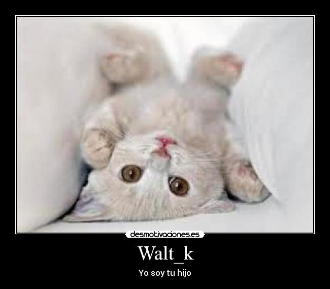 Walt_k - 