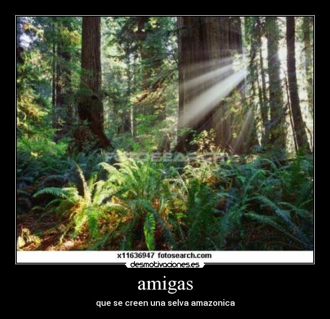 amigas - que se creen una selva amazonica