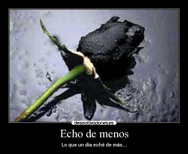 Echo de menos - Lo que un día eché de más....