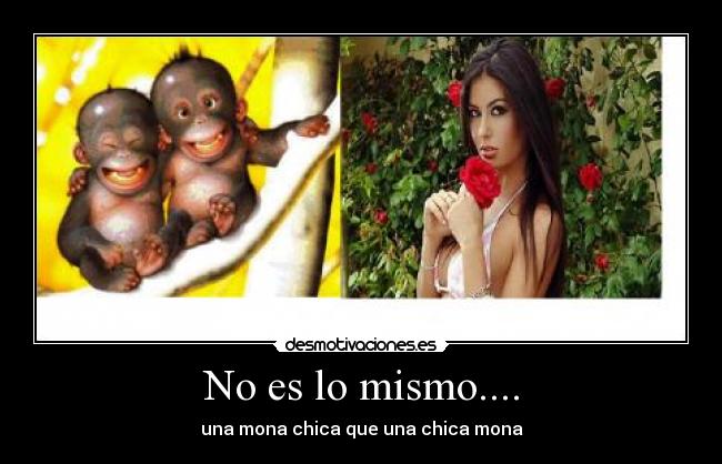 No es lo mismo.... - una mona chica que una chica mona