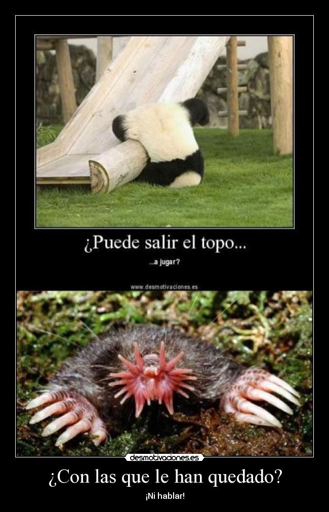 ¿Con las que le han quedado? -