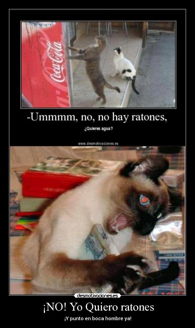 ¡NO! Yo Quiero ratones - 