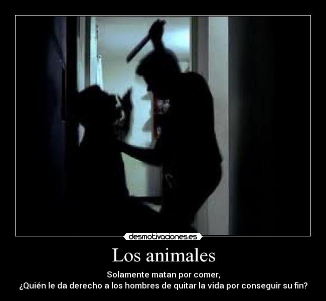 Los animales - Solamente matan por comer,
¿Quién le da derecho a los hombres de quitar la vida por conseguir su fin?