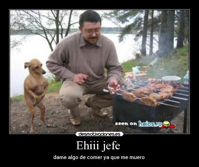 Ehiii jefe -