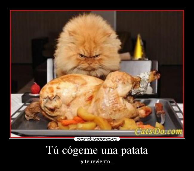 Tú cógeme una patata - y te reviento...