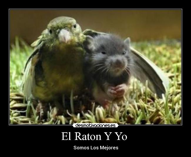 El Raton Y Yo  - 