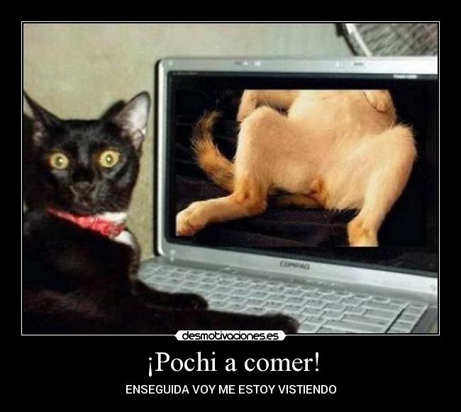 ¡Pochi a comer! -