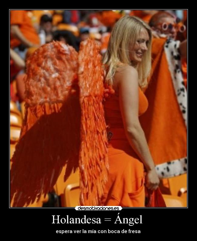 carteles holandesa angel desmotivaciones