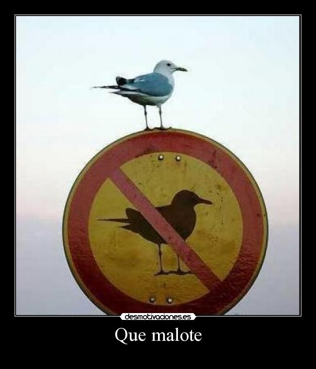 Que malote - 