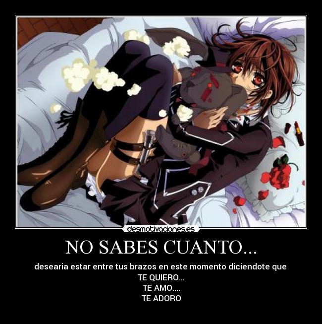 NO SABES CUANTO... - 