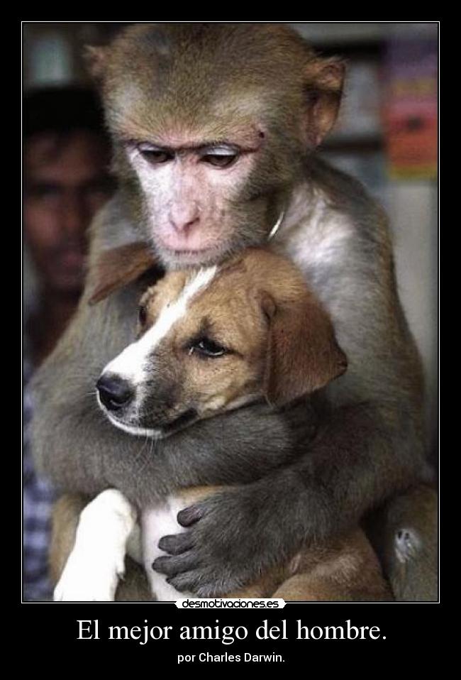 El mejor amigo del hombre. - 