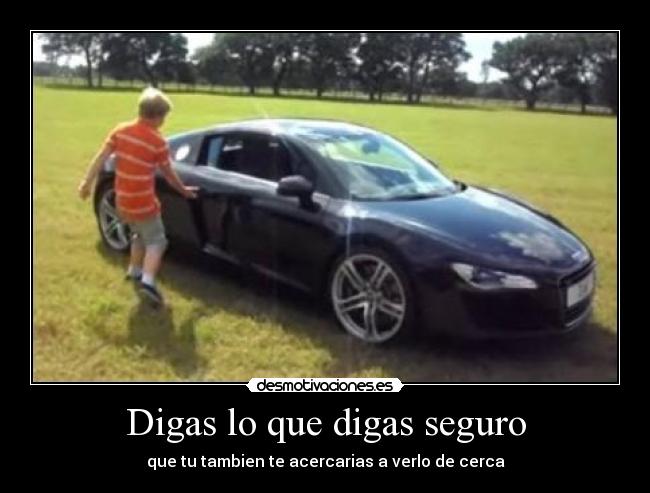 Digas lo que digas seguro - que tu tambien te acercarias a verlo de cerca