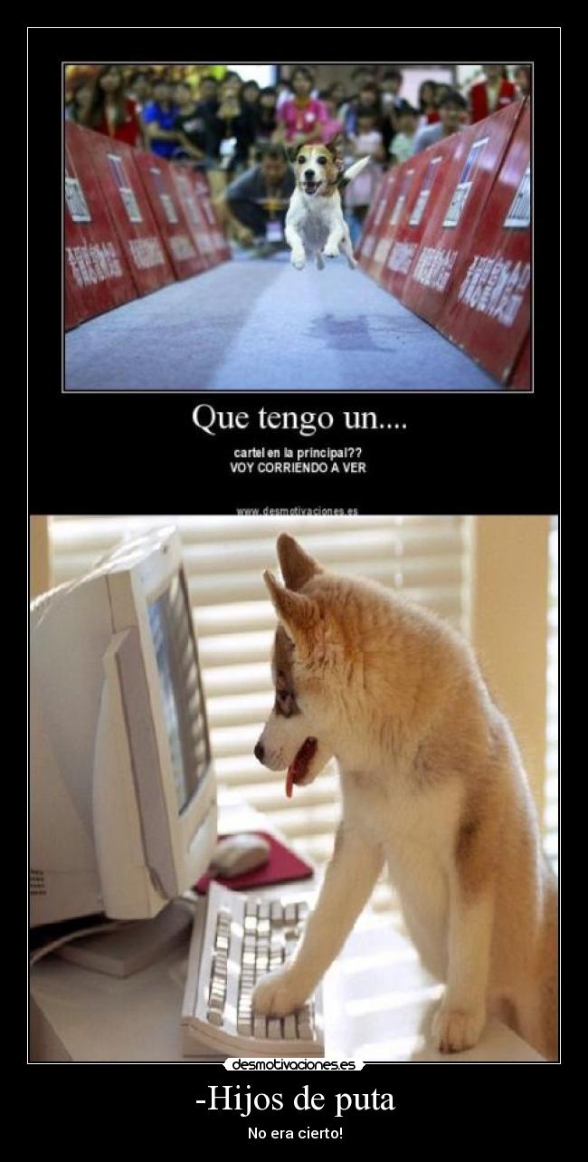 -Hijos de puta - No era cierto!