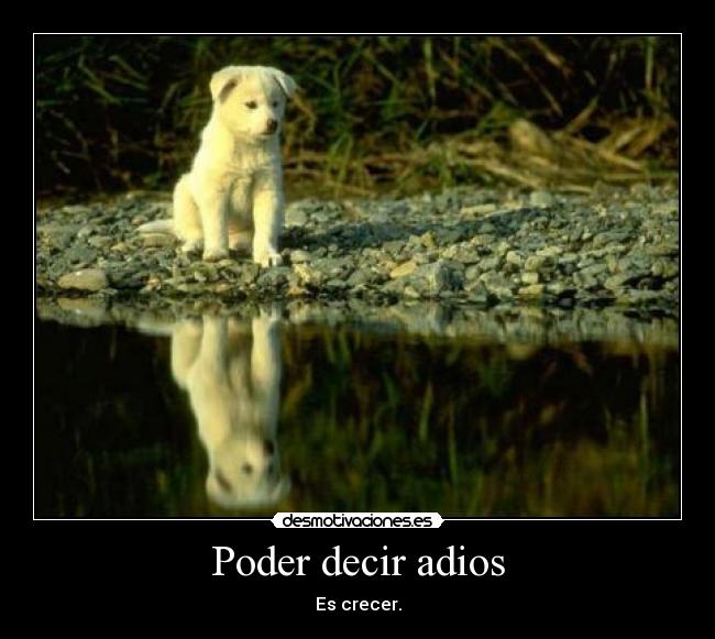 Poder decir adios - Es crecer.