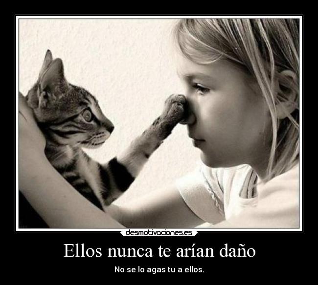 carteles animal desmotivaciones