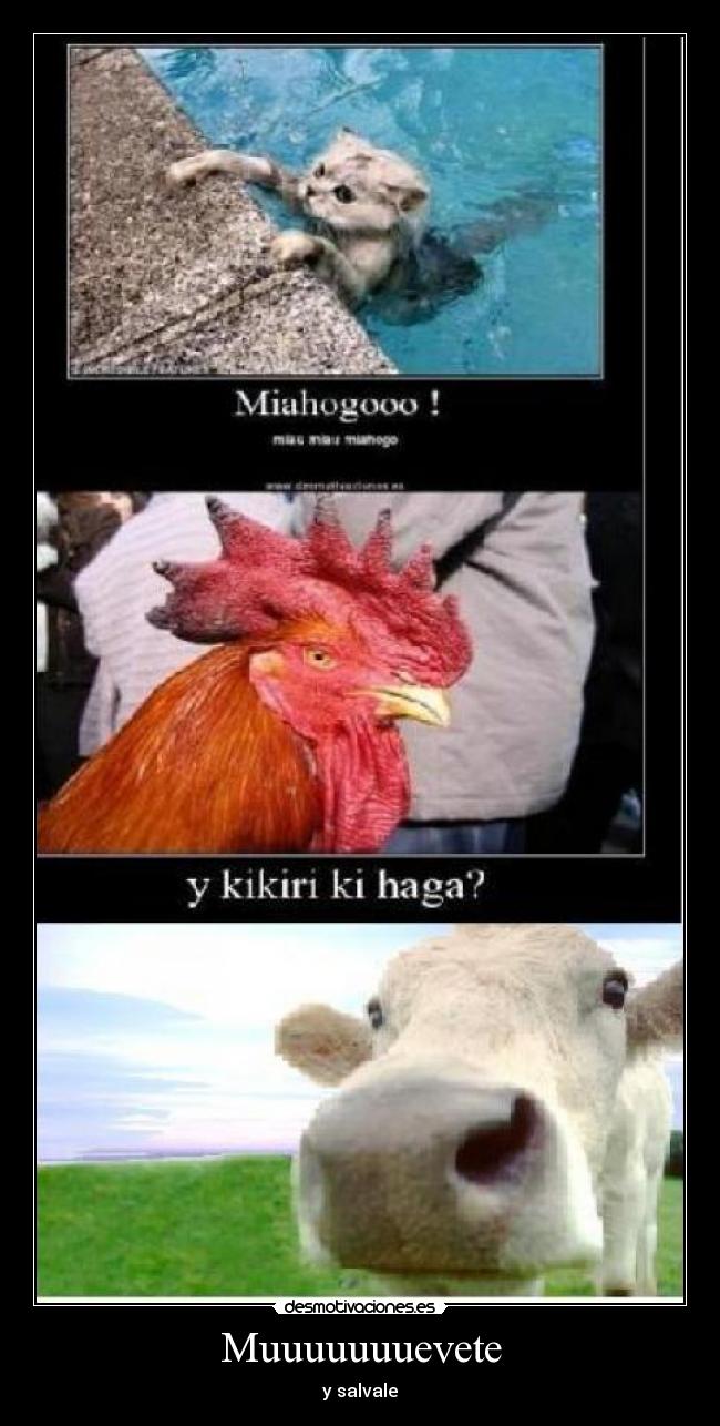 Muuuuuuuevete - y salvale