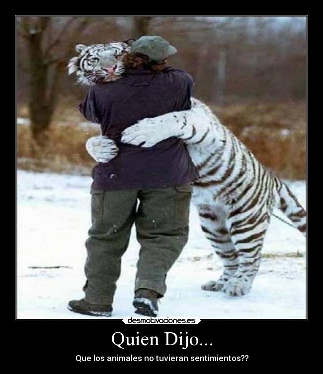 Quien Dijo... - 