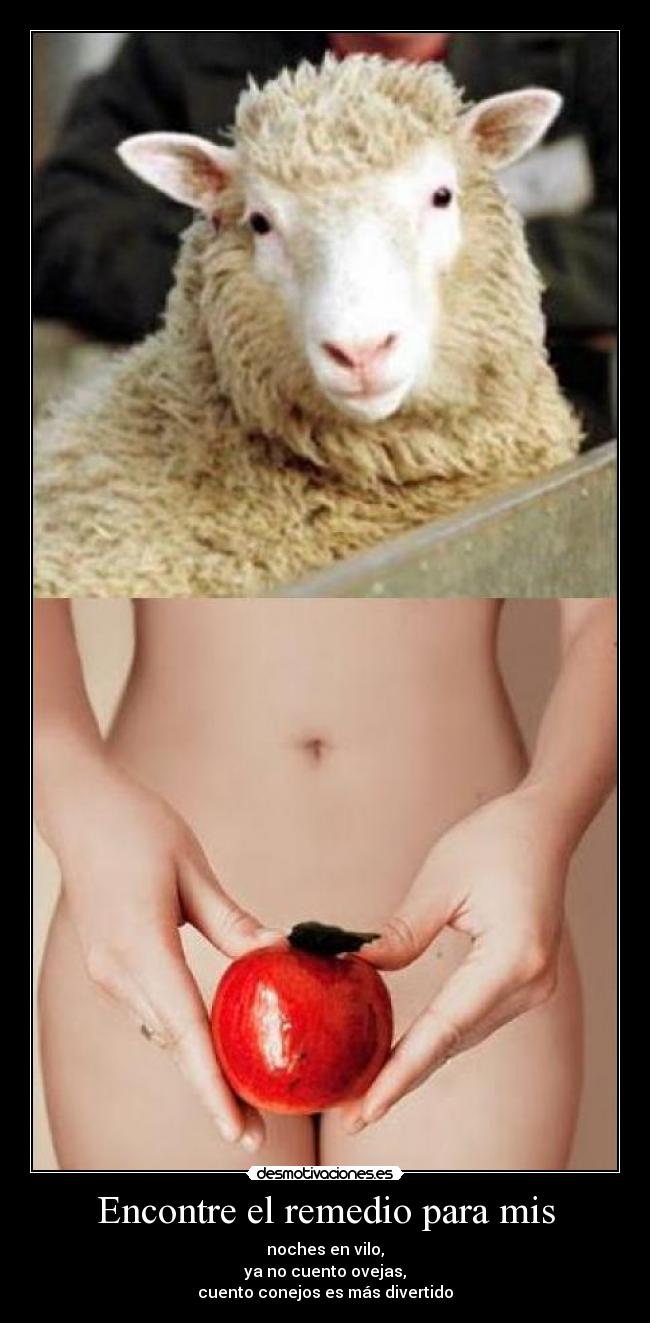 carteles edu_vrs desmotivaciones