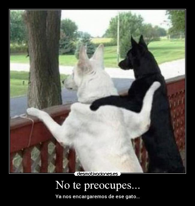 No te preocupes... -