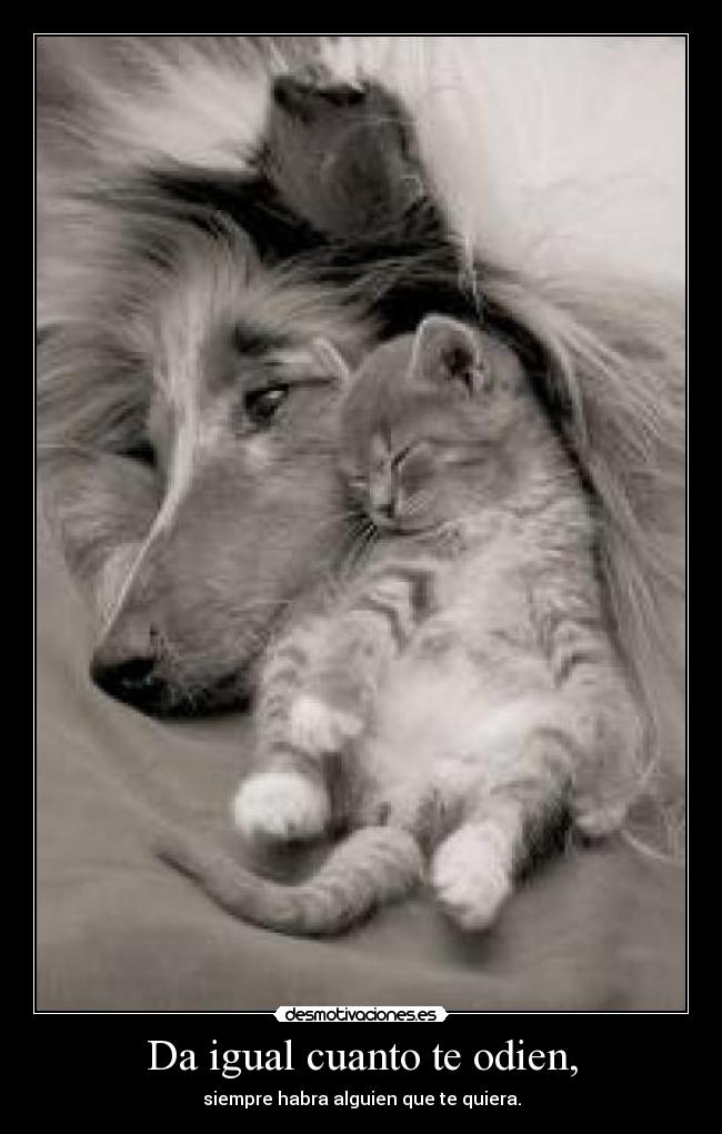 Da igual cuanto te odien, - siempre habra alguien que te quiera.