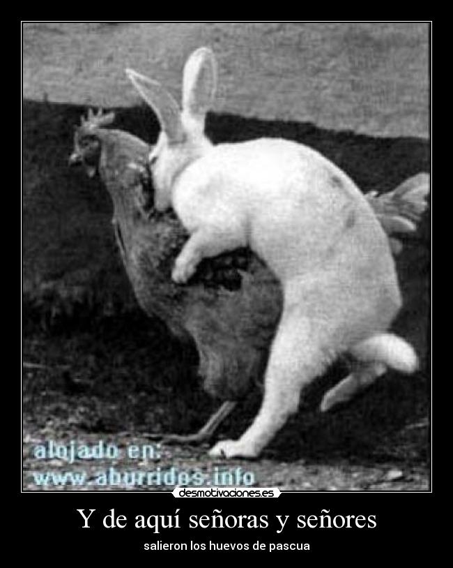 Y de aquí señoras y señores - 