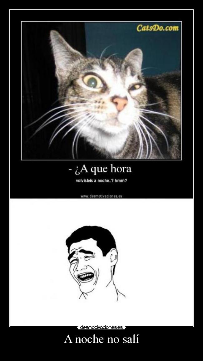 A noche no salí -
