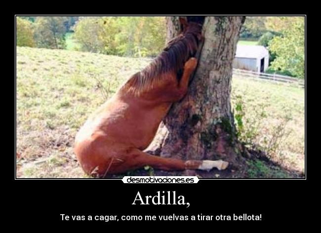carteles ardillas caballos desmotivaciones