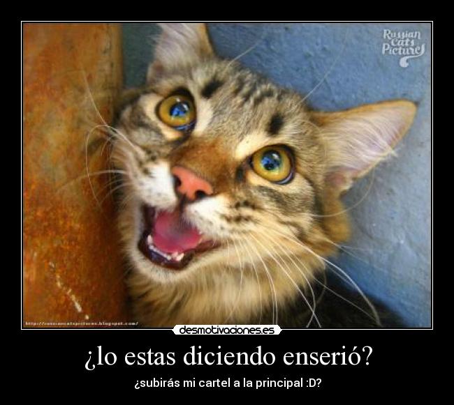 ¿lo estas diciendo enserió? -