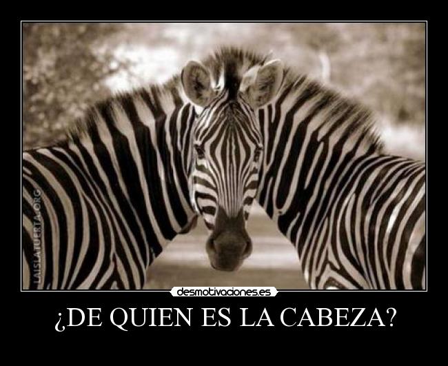 carteles dannyesku99 desmotivaciones