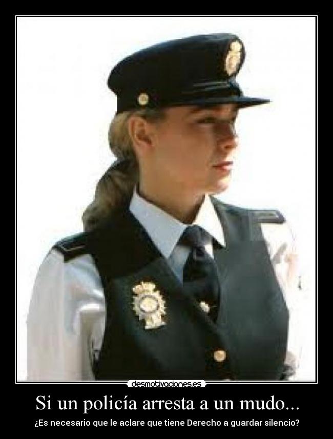 carteles locaperoguapa21 walt_k yomique roberto95mg desmotivaciones