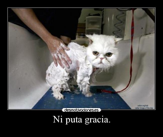 Ni puta gracia. -