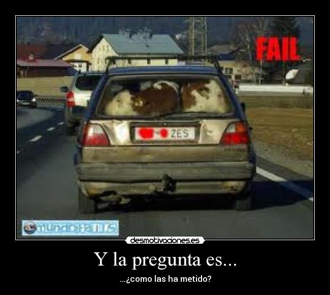 carteles wwwdesmotivacioneses desmotivaciones