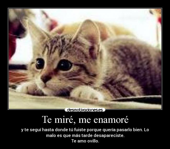 Te miré, me enamoré -