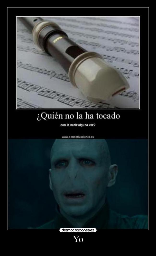 carteles yo voldemort flauta nariz desmotivaciones