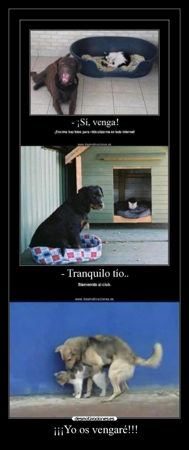 ¡¡¡Yo os vengaré!!! - 